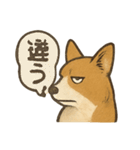 渋犬コーギー ポン（個別スタンプ：7）
