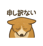 渋犬コーギー ポン（個別スタンプ：8）