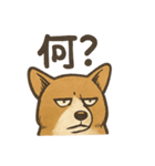 渋犬コーギー ポン（個別スタンプ：9）