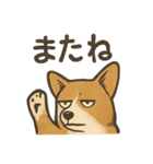 渋犬コーギー ポン（個別スタンプ：10）