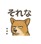 渋犬コーギー ポン（個別スタンプ：11）