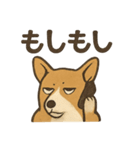 渋犬コーギー ポン（個別スタンプ：14）