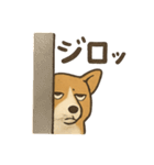 渋犬コーギー ポン（個別スタンプ：15）