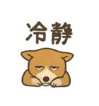 渋犬コーギー ポン（個別スタンプ：16）