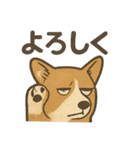 渋犬コーギー ポン（個別スタンプ：19）