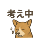 渋犬コーギー ポン（個別スタンプ：20）