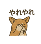 渋犬コーギー ポン（個別スタンプ：23）
