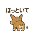 渋犬コーギー ポン（個別スタンプ：24）
