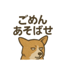 渋犬コーギー ポン（個別スタンプ：27）