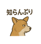 渋犬コーギー ポン（個別スタンプ：28）