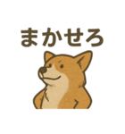 渋犬コーギー ポン（個別スタンプ：36）