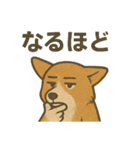 渋犬コーギー ポン（個別スタンプ：37）