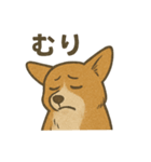 渋犬コーギー ポン（個別スタンプ：38）