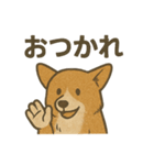 渋犬コーギー ポン（個別スタンプ：39）