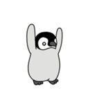 こコウテイペンギンのおすもちゃんこ（個別スタンプ：9）