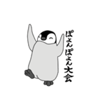 こコウテイペンギンのおすもちゃんこ（個別スタンプ：29）