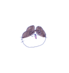 猫田のスタンプ6▼（個別スタンプ：31）