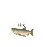 サクラマスまさこ海櫻（個別スタンプ：24）