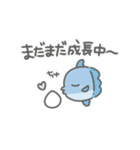 妊活★うみのいきもの（個別スタンプ：13）