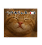 茶太郎のHappyDay（個別スタンプ：8）