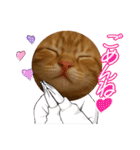 茶太郎のHappyDay（個別スタンプ：9）