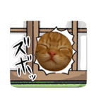 茶太郎のHappyDay（個別スタンプ：13）