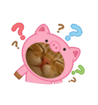 茶太郎のHappyDay（個別スタンプ：15）