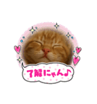 茶太郎のHappyDay（個別スタンプ：25）