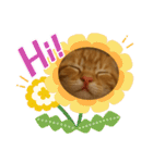 茶太郎のHappyDay（個別スタンプ：37）