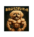 マッスル！ペキプー！！（個別スタンプ：1）