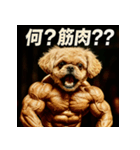 マッスル！ペキプー！！（個別スタンプ：9）