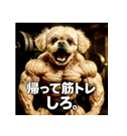マッスル！ペキプー！！（個別スタンプ：19）