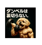 マッスル！ペキプー！！（個別スタンプ：24）