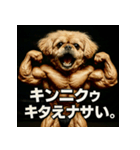 マッスル！ペキプー！！（個別スタンプ：25）