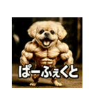 マッスル！ペキプー！！（個別スタンプ：34）