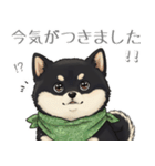 とある黒柴の日常（個別スタンプ：2）
