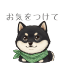 とある黒柴の日常（個別スタンプ：3）
