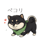 とある黒柴の日常（個別スタンプ：5）