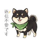 とある黒柴の日常（個別スタンプ：7）
