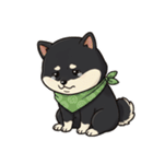 とある黒柴の日常（個別スタンプ：9）