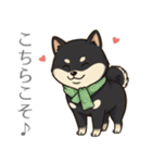 とある黒柴の日常（個別スタンプ：10）