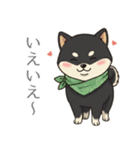 とある黒柴の日常（個別スタンプ：11）