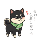 とある黒柴の日常（個別スタンプ：15）