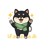 とある黒柴の日常（個別スタンプ：18）
