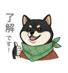 とある黒柴の日常（個別スタンプ：28）