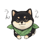 とある黒柴の日常（個別スタンプ：35）