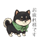 とある黒柴の日常（個別スタンプ：36）