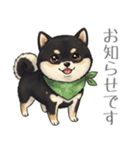 とある黒柴の日常（個別スタンプ：38）