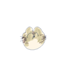 猫田のスタンプ7▼（個別スタンプ：16）