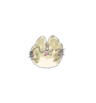 猫田のスタンプ7▼（個別スタンプ：20）